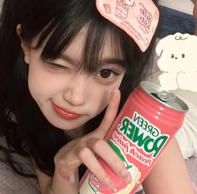 狐狸在手