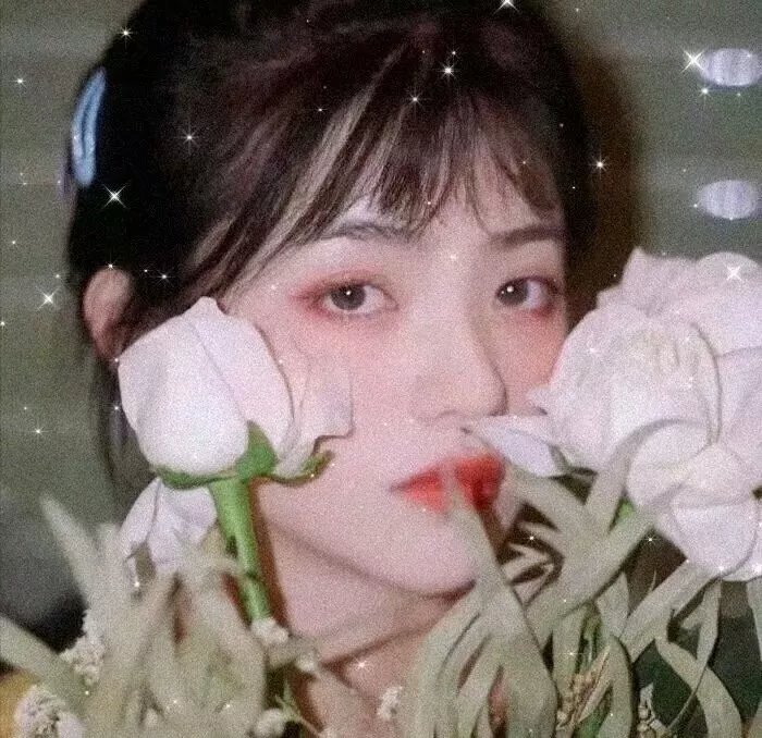 属于我们的土地